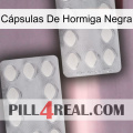 Cápsulas De Hormiga Negra 17